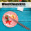 Four Corner Chopsticks: 5 couleurs, 130-147 g, 22,5 cm 4