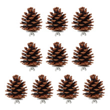 10 piezas Juguete para aves en forma de piña, Natural, 6 cm de diámetro