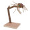Applewood Bird Playstand: Percha para loros de madera 16