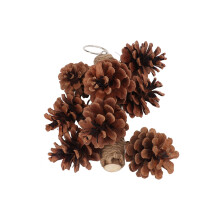 Juguete natural de piña para loro 20 cm con gancho metálico