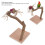 Applewood Bird Playstand: Percha para loros de madera 10