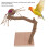 Applewood Bird Playstand: Percha para loros de madera 5
