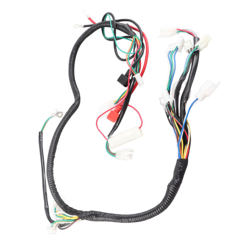 Faisceau de câblage moteur GY6 CDI unité 125cc-250cc 2