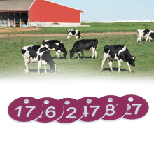 50 pezzi di etichette numerate 1-50 Beehive 3.6cm viola