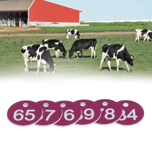 50 pezzi etichette numerate viola per arnie 3.6cm