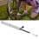 Mini pompa per bici portatile 160 PSI 20 cm titanio 14