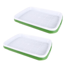 Vassoio per germogli 600 g, 33x26x9,5 cm, Coperchio trasparente