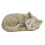 Cat C pierre tombale commémorative en résine couleur mousse 14