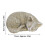 Cat C pierre tombale commémorative en résine couleur mousse 9