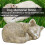 Cat C pierre tombale commémorative en résine couleur mousse 11