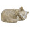 Cat C pierre tombale commémorative en résine couleur mousse 2