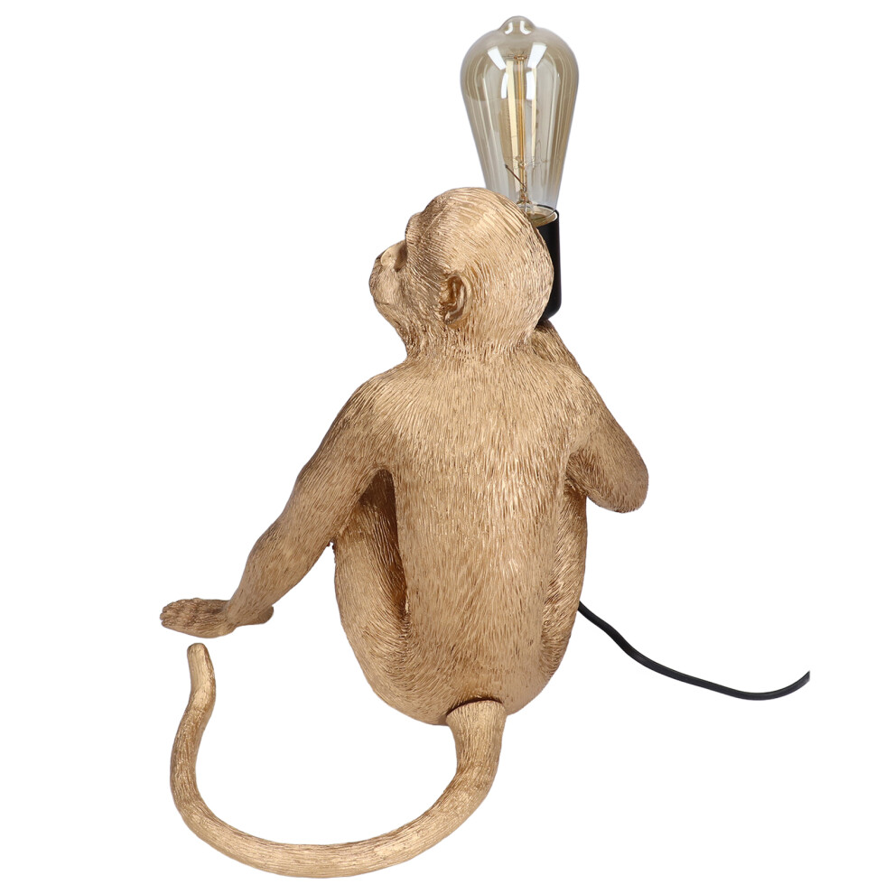 Monkey Lights Vivid Easy Replaceable Convenient Practical Attractive Decorative Lamp for Library Voltage-image-OPC-PHVV96W-NEW