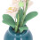 Phalaenopsis blanche à l'échelle 1:12 pour maison de poupée 5