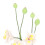 Phalaenopsis blanche à l'échelle 1:12 pour maison de poupée 7