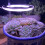Lampada LED per coltivazione da interno con 5 modalità dimmerabili e timer USB per piante e giardino 16