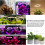 Lampada LED per coltivazione da interno con 5 modalità dimmerabili e timer USB per piante e giardino 10