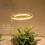 Lampada LED per coltivazione da interno con 5 modalità dimmerabili e timer USB per piante e giardino 8
