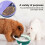 Gamelle pour chiots et chatons 11x5 cm Violet/Vert/Rose 5