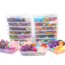 Kit de manualidades con flores secas: Multicolor 1711,54 cm