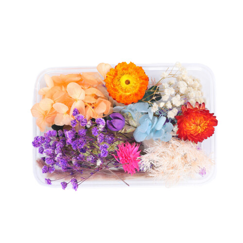 Kit de manualidades con flores secas: Multicolor 1711,54 cm 2