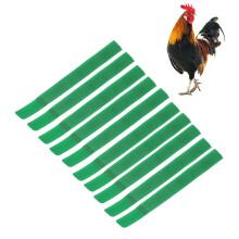 10 piezas de collares de nylon para gallos 18x2 cm verde estándar