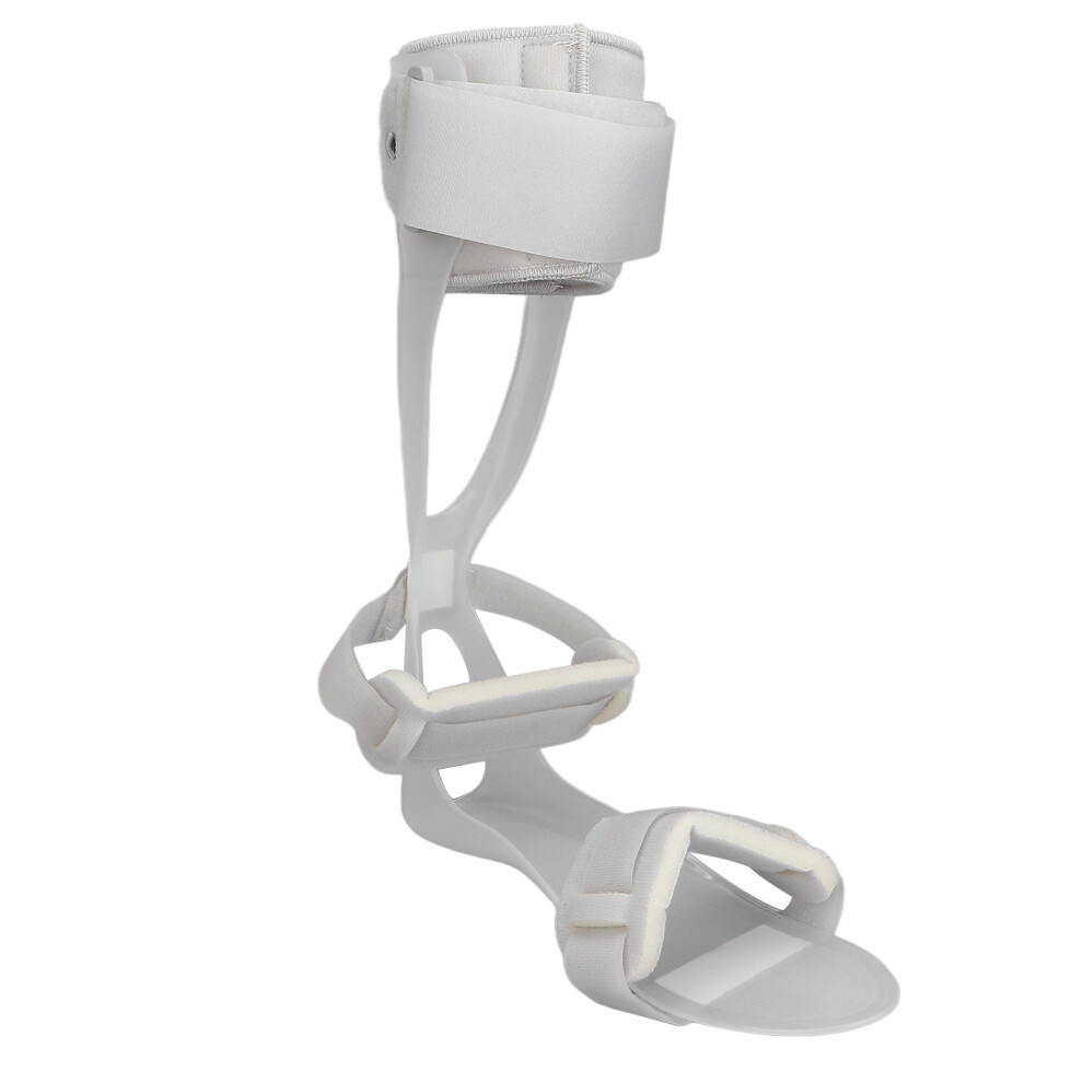 Ankle Foot Orthosis Support Adjustable Skid Resistance Foot Orthosis Fixation Foot Care ToolLeft L