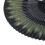 Abanico plegable de bambú Black Bones Peacock 38x21.5cm 9