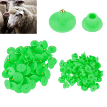 100 pièces d'étiquettes auriculaires rondes vertes pour cochons et moutons