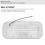 Luce interna a LED ovale da 12V 500 lm 3000K bianca 5