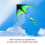 Cometa triangular Prairie de 1,6 m 160x80 cm Multicolor 10