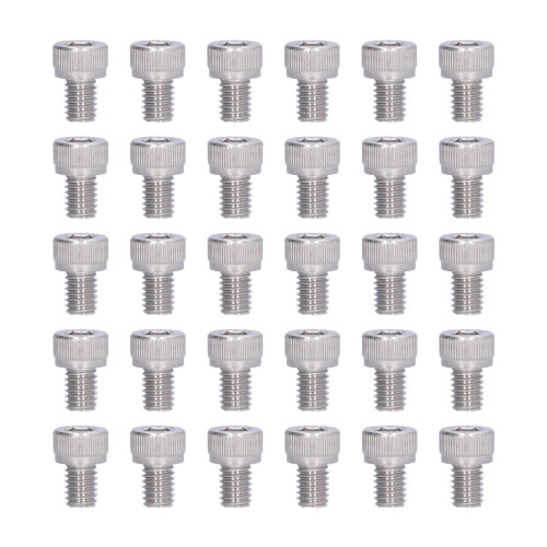 30 pezzi Viti M6x8 DIN912 A2-70 argento a testa esagonale interna 1