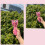 Elektrisches Seilwerfer-Propeller-Spielzeug, 16,5x8x8cm, Blau oder Pink 11