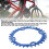 FMFXTR 32 denti 104 BCD Narrow-Wide Corona Blu 8