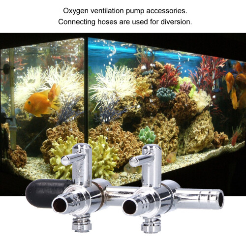 Distributeur d'oxygène en acier inoxydable 6 mm à 2 têtes 2