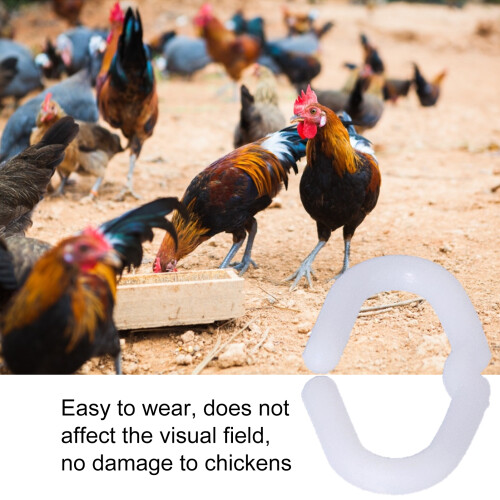200 pièces de clips de bec de poulet en plastique PP S blanc 2