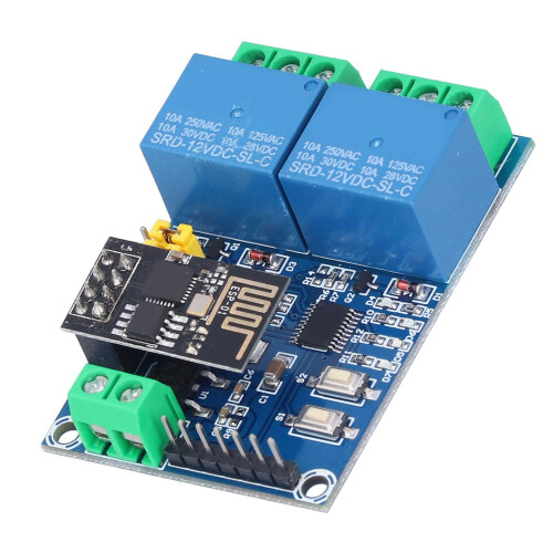 ESP-01 Relè WiFi a due canali 12V 10A Mini Nero