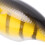 8# Mini leurre minnow ABS 6,2 cm / 2,4 po Multicolore 9