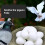 50 Pcs Pigeon False Eggs Plastic Solid Simulation Eggs for Dove Breeding Hatching 7