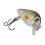 Esche dure da pesca, confezione da 5 crankbaits per mare e acqua dolce, mini esche realistiche 4