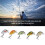 Esche dure da pesca, confezione da 5 crankbaits per mare e acqua dolce, mini esche realistiche 10