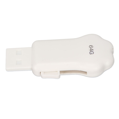 Clé USB 2.0 en forme de patte de chat, 64 Go, Dino vert 2