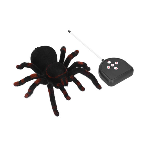 Modello 781 RC Ragno, 4xAA+9V, 24x18x8 cm, Nero 2