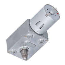 JGY-370 DC24V 8mm/0.3in Ingranaggio a vite argentato