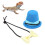 Papillon Reptile Hat: Mini cappello a cilindro, Blu/Giallo 14