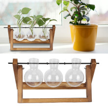 Vase terrarium en verre avec cadre en bois naturel et 3 bouteilles