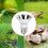 Lampada UVA UVB a spettro completo 25W E27 120V 5