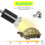 Lampada UVA UVB a spettro completo 25W E27 120V 13