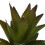 Pianta d'acquario in resina e plastica, Base 7,5 cm, 12,5 cm 4