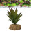 Pianta d'acquario in resina e plastica, Base 7,5 cm, 12,5 cm 11