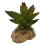 Pianta d'acquario in resina e plastica, Base 7,5 cm, 12,5 cm 1